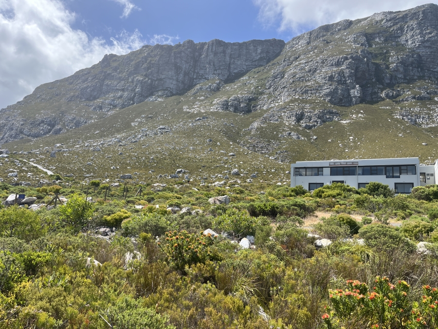 0 Bedroom Property for Sale in Bettys Bay Western Cape